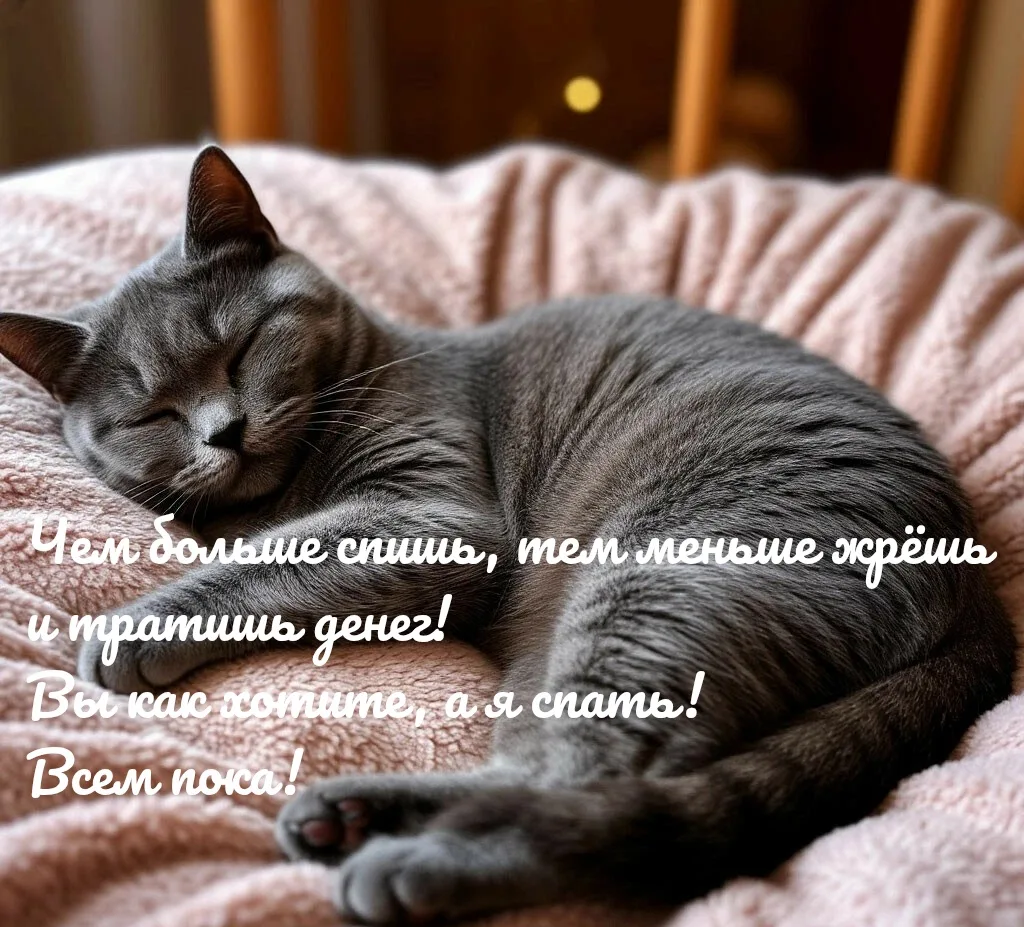 Доброй ночи друзья! 🌙 спокойных снов..