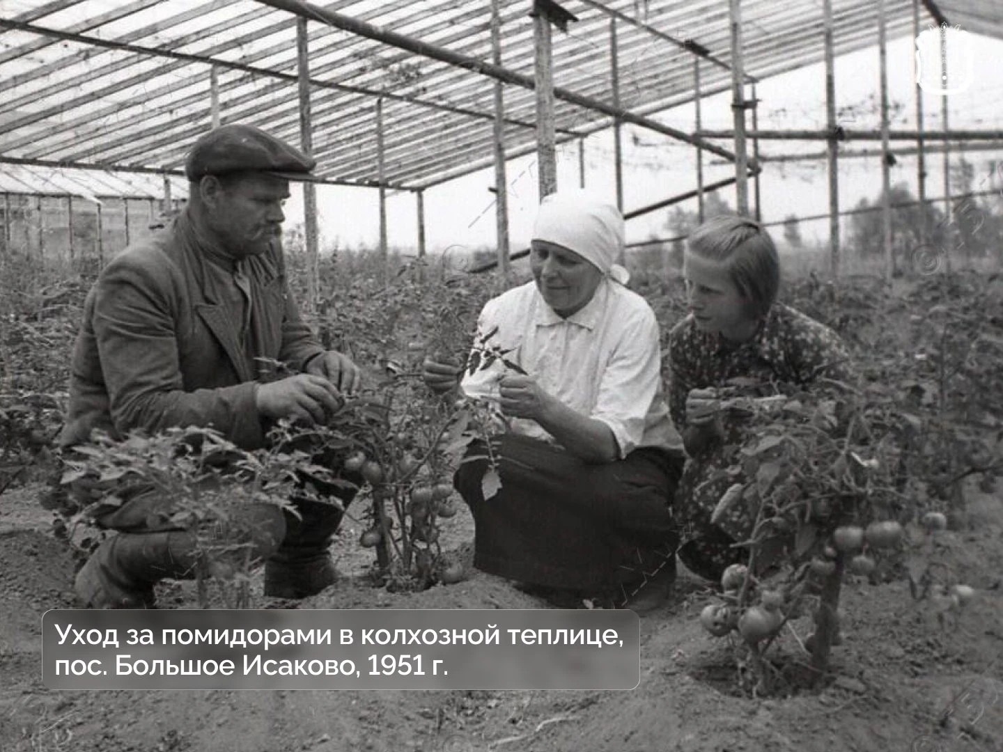 Каждое второе воскресенье октября в России отмечают День работника сельского хозяйства ...