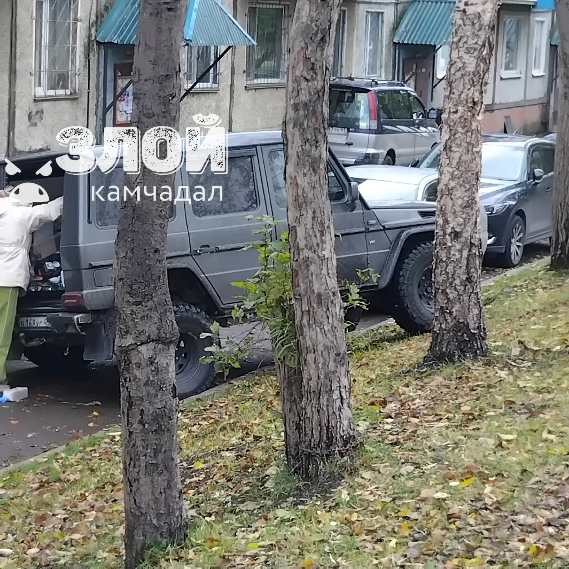 #нампишут