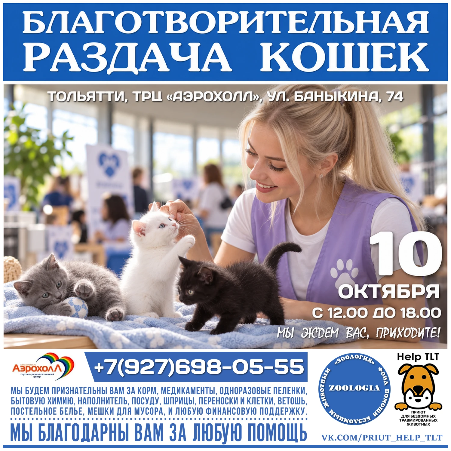 💖 БЛАГОТВОРИТЕЛЬНАЯ РАЗДАЧА КОШЕК 💝