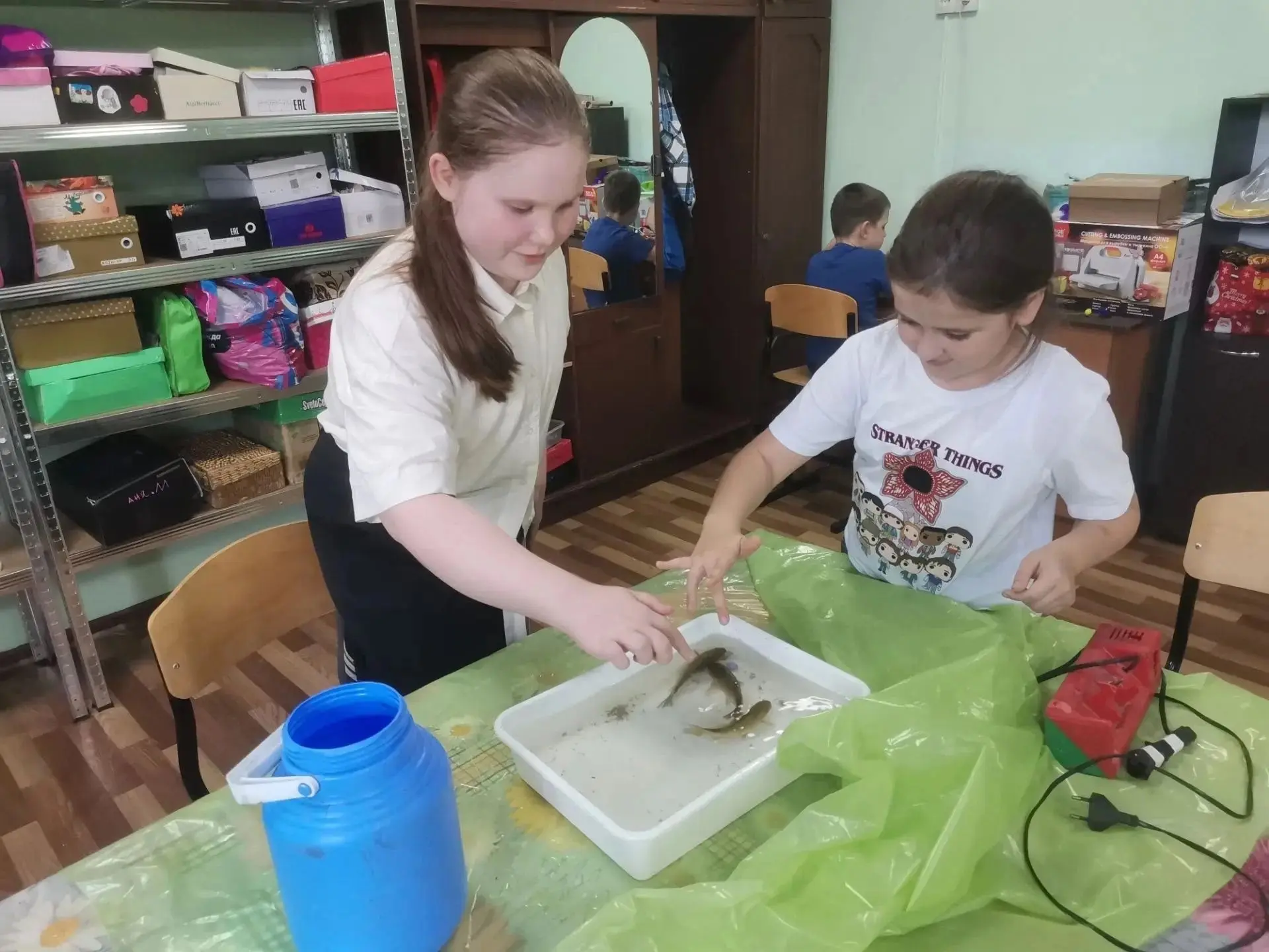 🐟 Живой урок: в гостях у юных флористов побывали настоящие караси