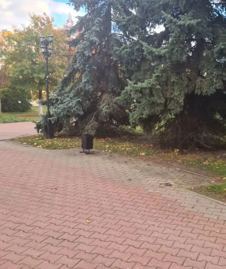 💁 Присаживайтесь, очень удобно!