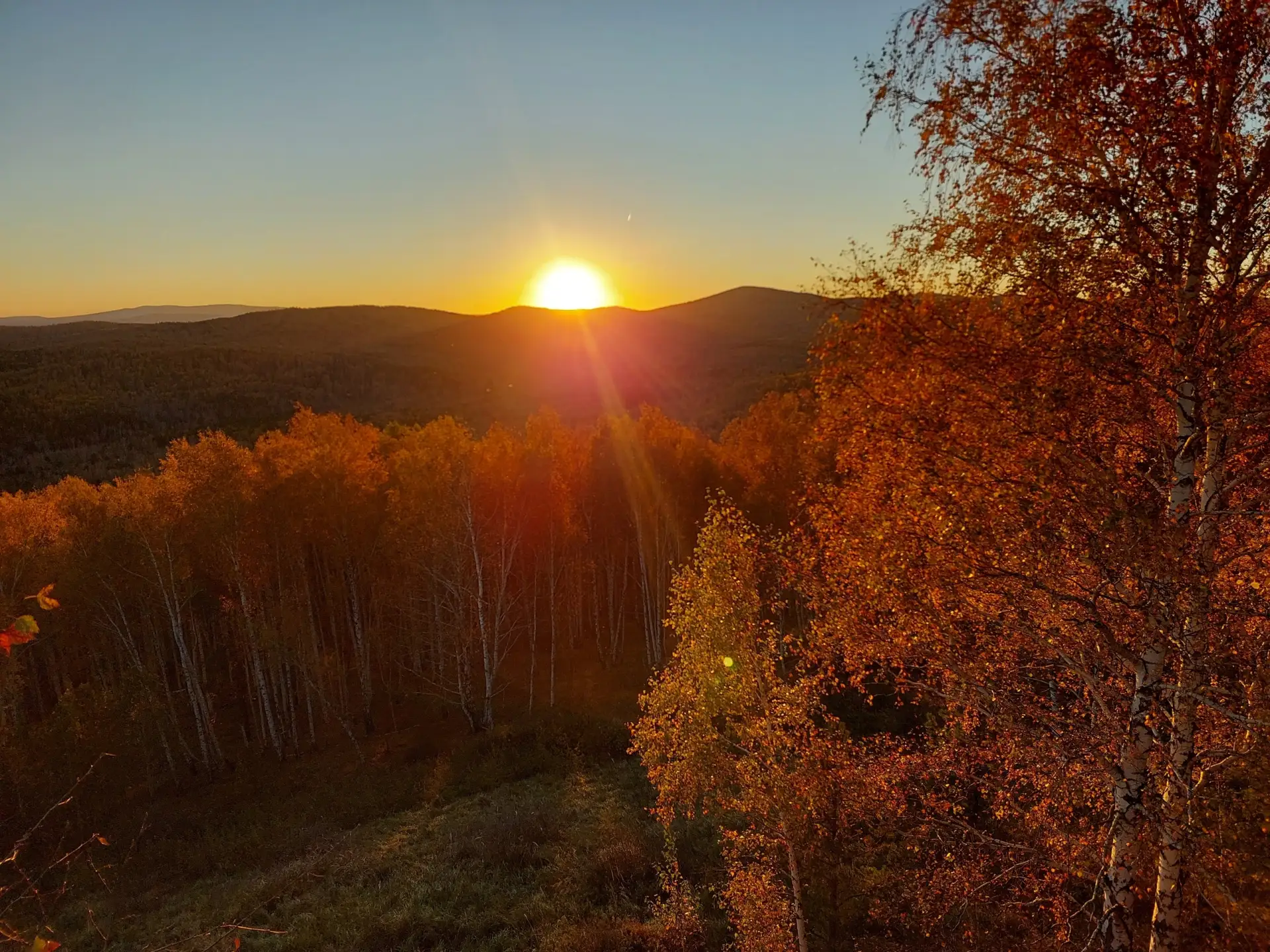 Закат растёкся по лесу жидким золотом 🌅