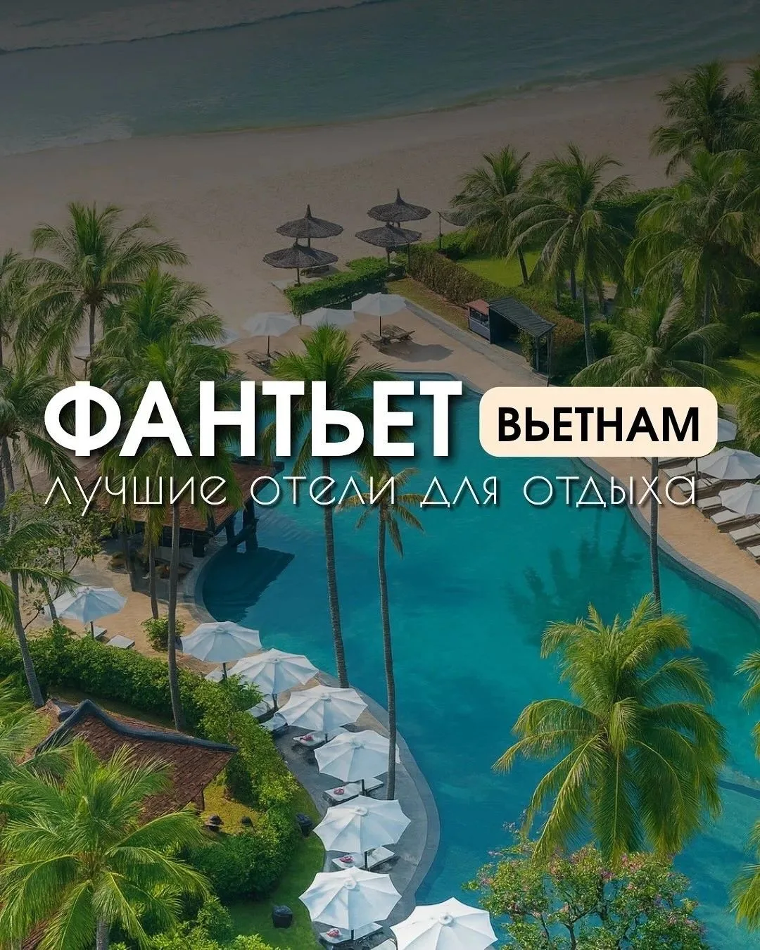 Меняем осень на солнечное лето под солнцем и пальмами🌴☀️