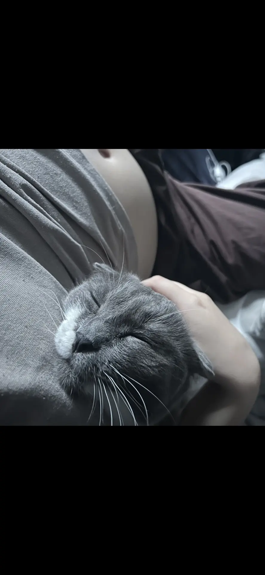 ❤️ Отдается ласковый котик Даня, 5 лет (Приволжский район).