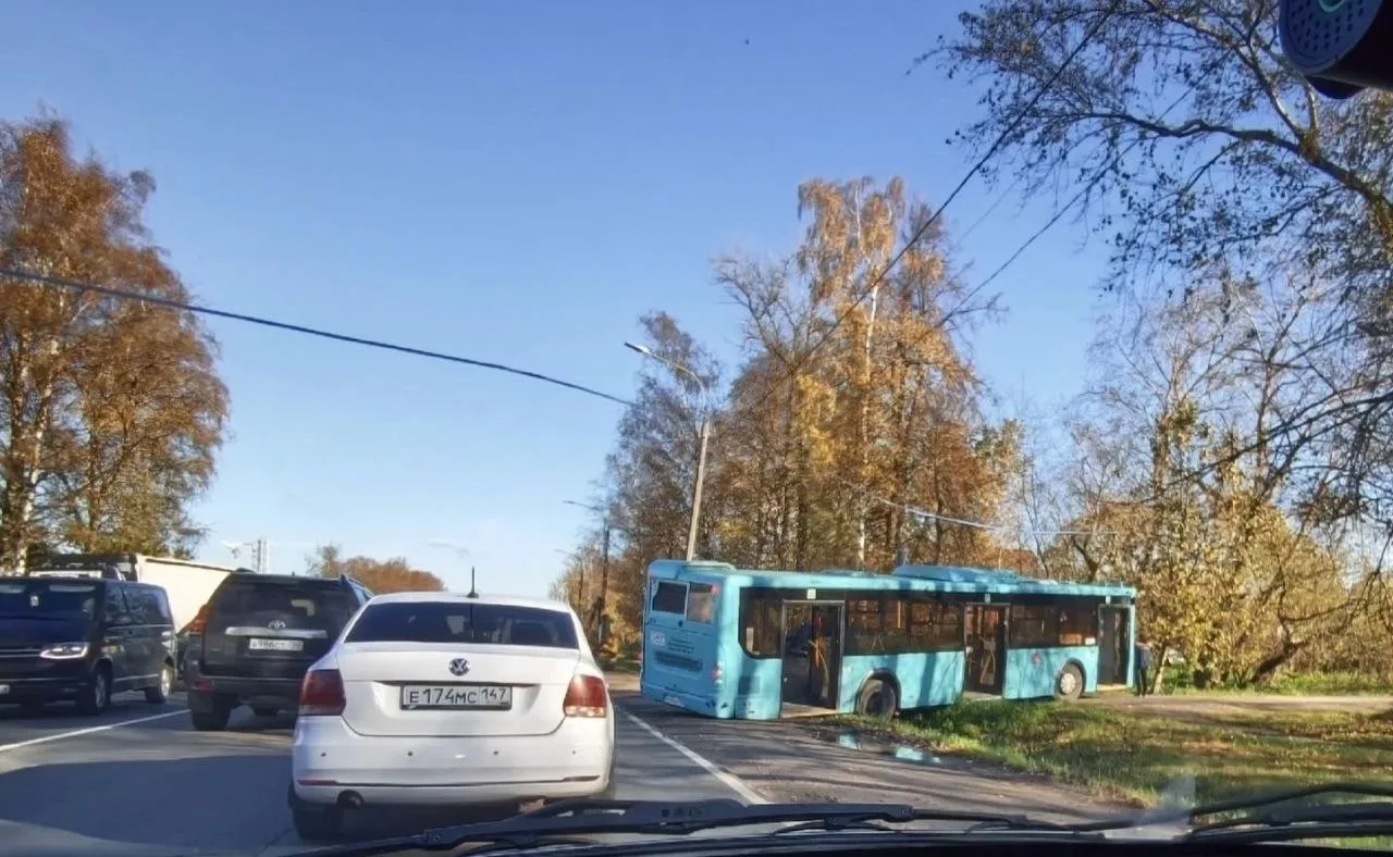 Между Аннинским шоссе и Полевой улицей водитель общественного транспорта за каким-то чё...