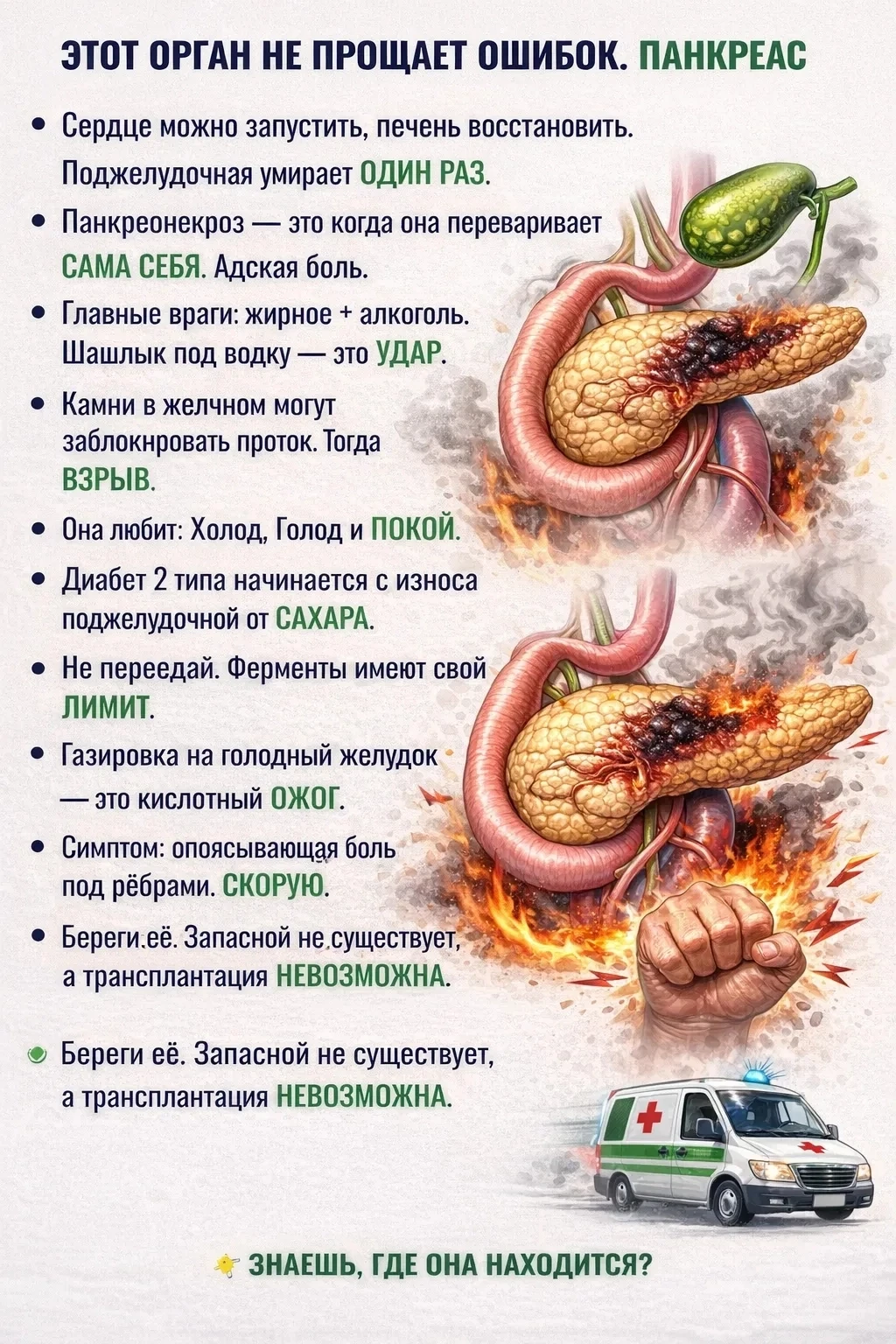 Панкреас (поджелудочная железа) — это жизненно важный орган смешанной секреции, располо...