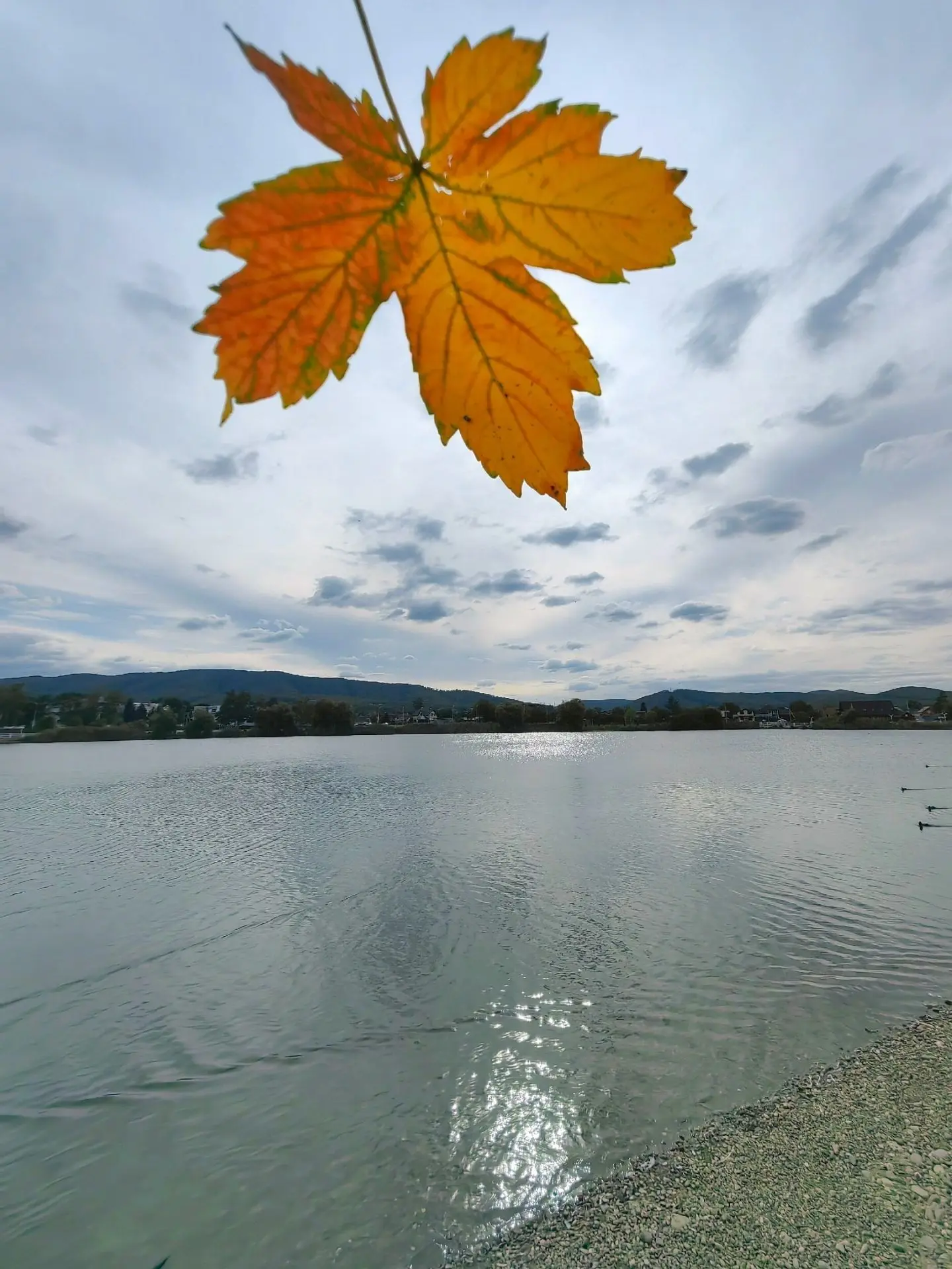 Осень в Горячем Ключе- это всегда прекрасно 😍🍁