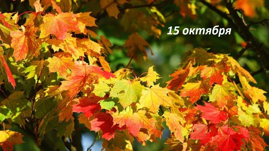 Доброе утро!