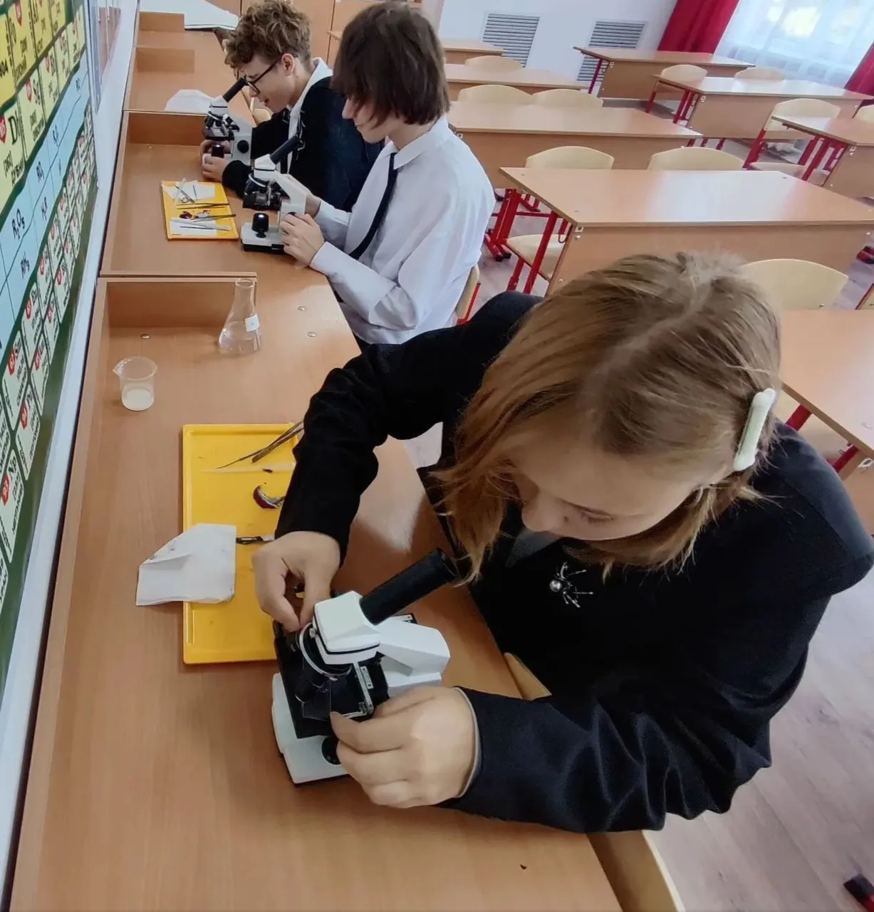 🔬 Магия осмоса на ладони: плазмолиз и деплазмолиз в действии!