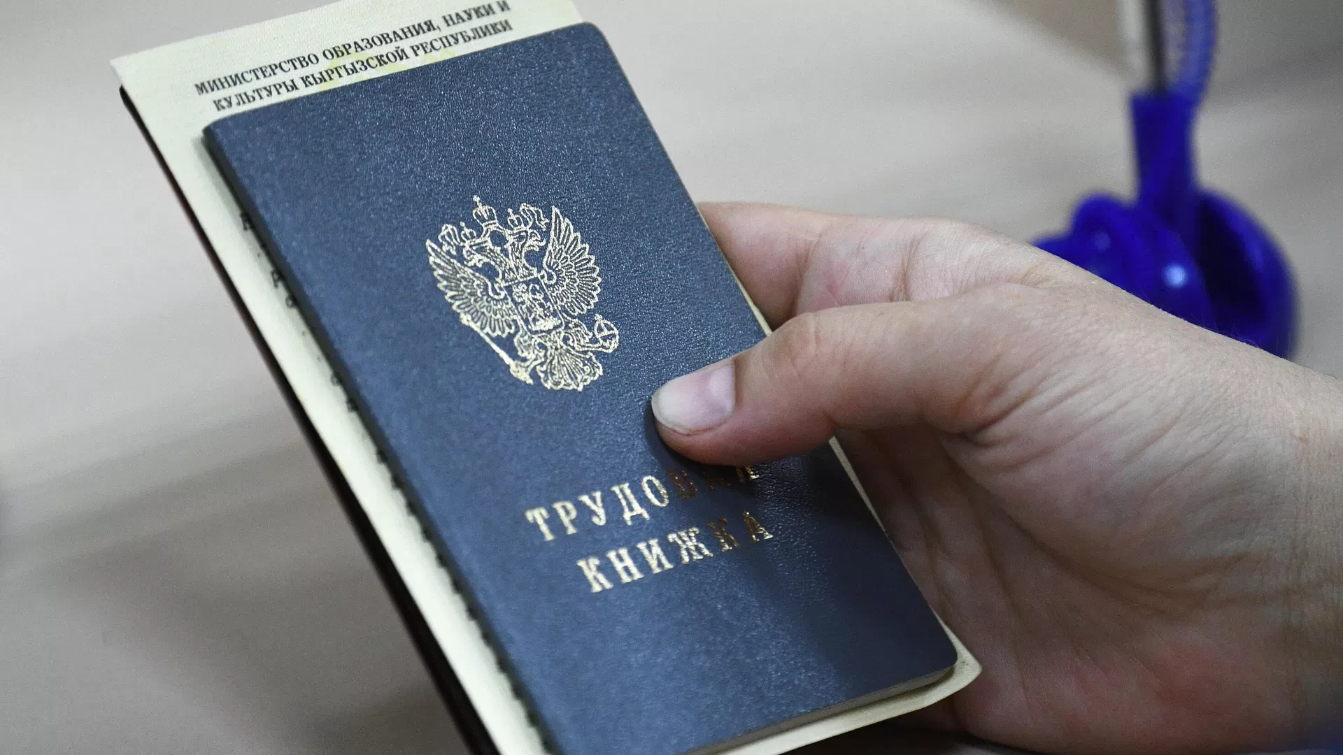 Самые востребованные профессии в России назвали в сервисе SuperJob.