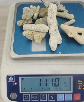 В аэропорту Новокузнецка таможенники обнаружили редкие кораллы в багаже туриста из Вьет...