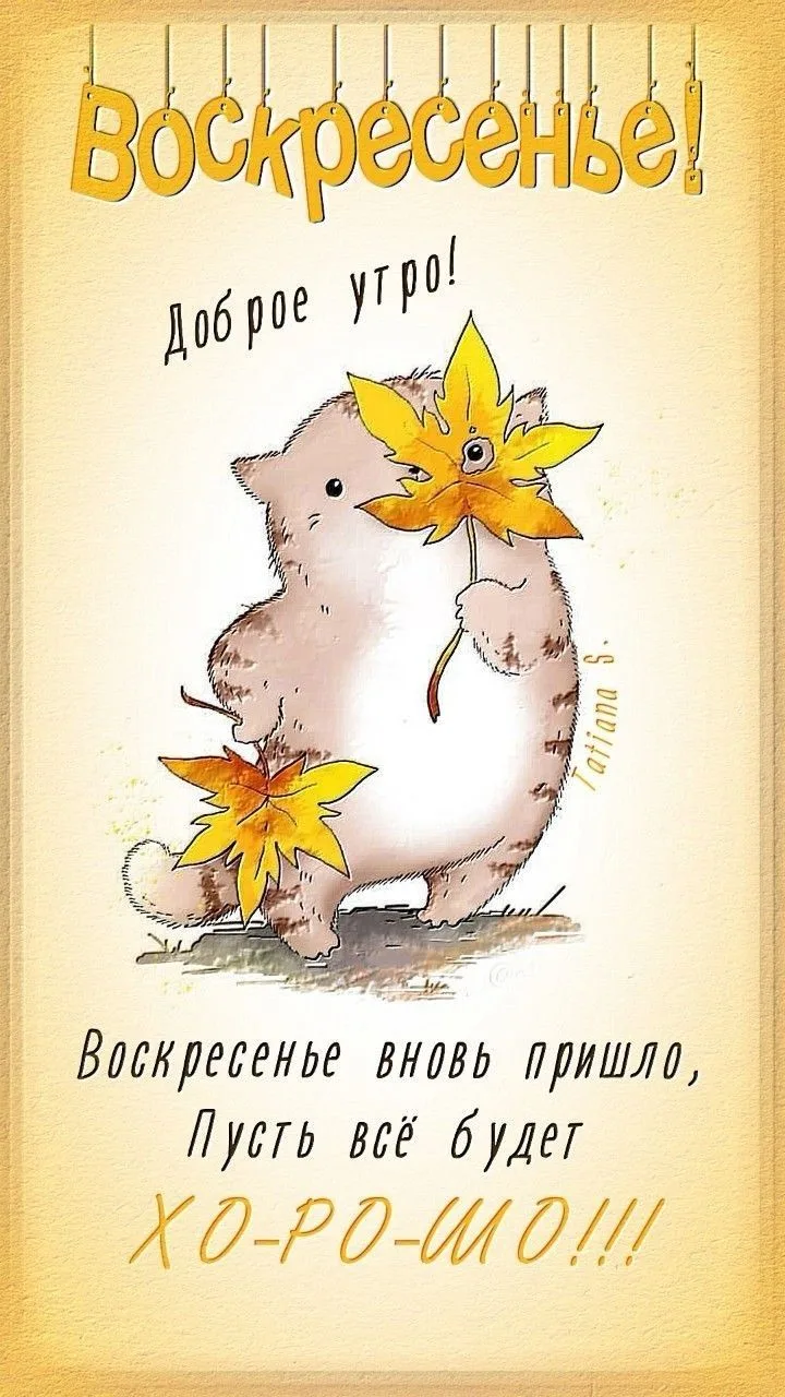 Доброе утро!🍁