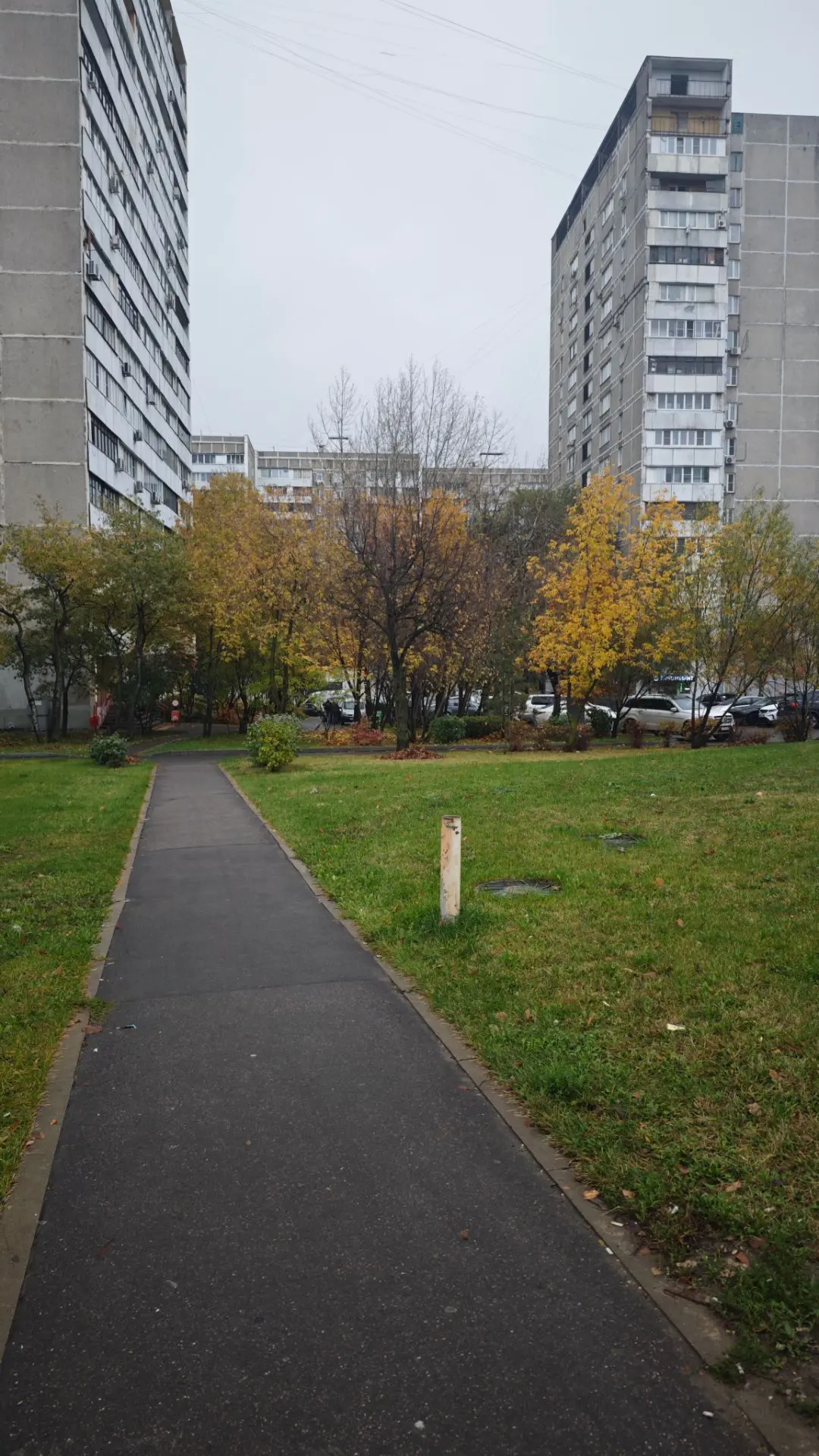 Осень🍂