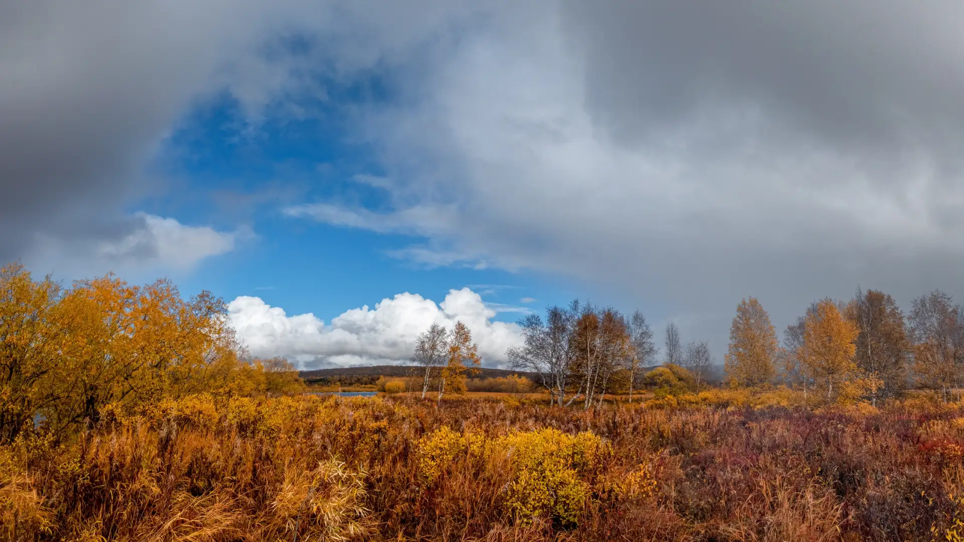 🍂 Корякия: Камчатка на пороге зимы