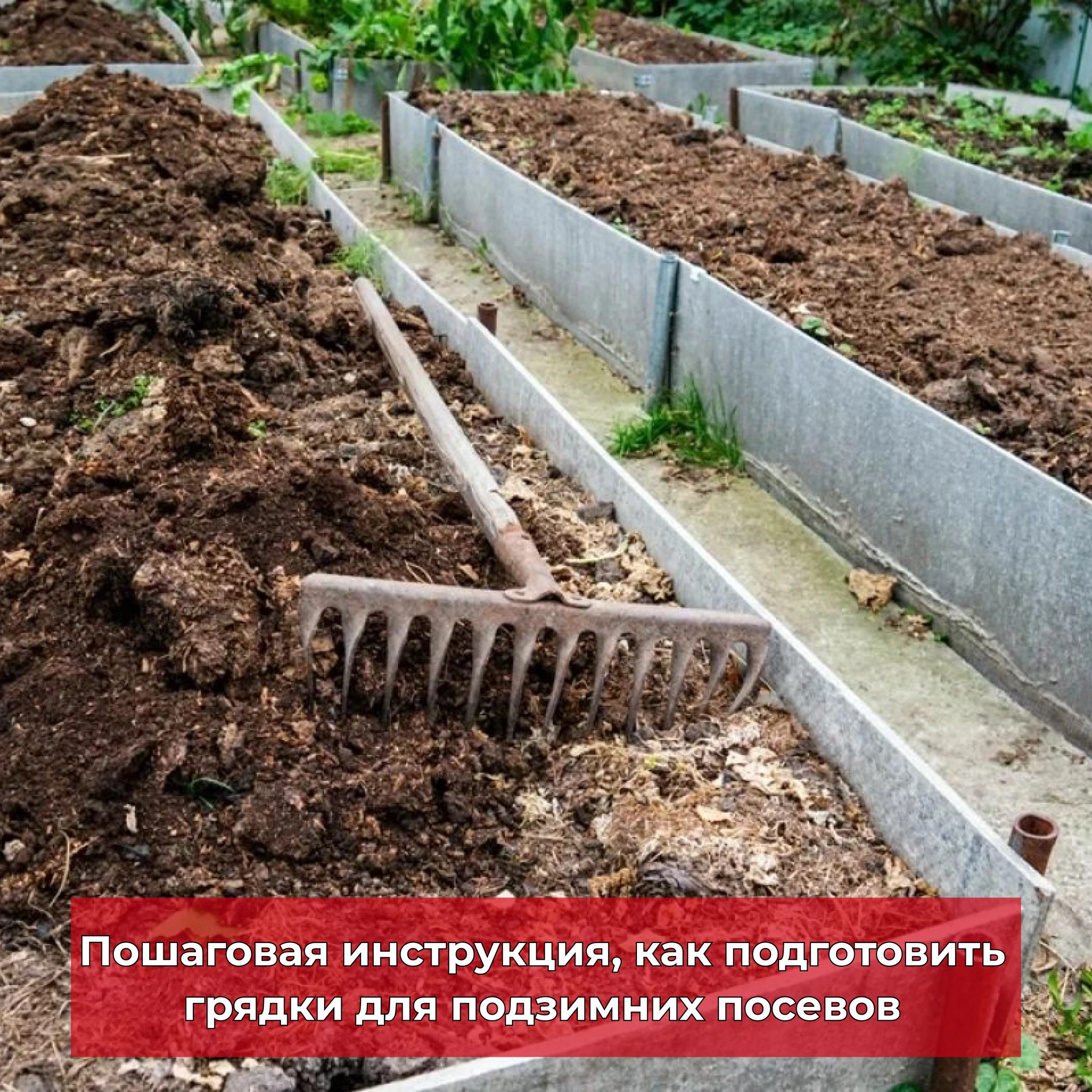 Подзимние посевы: готовим грядки уже сейчас