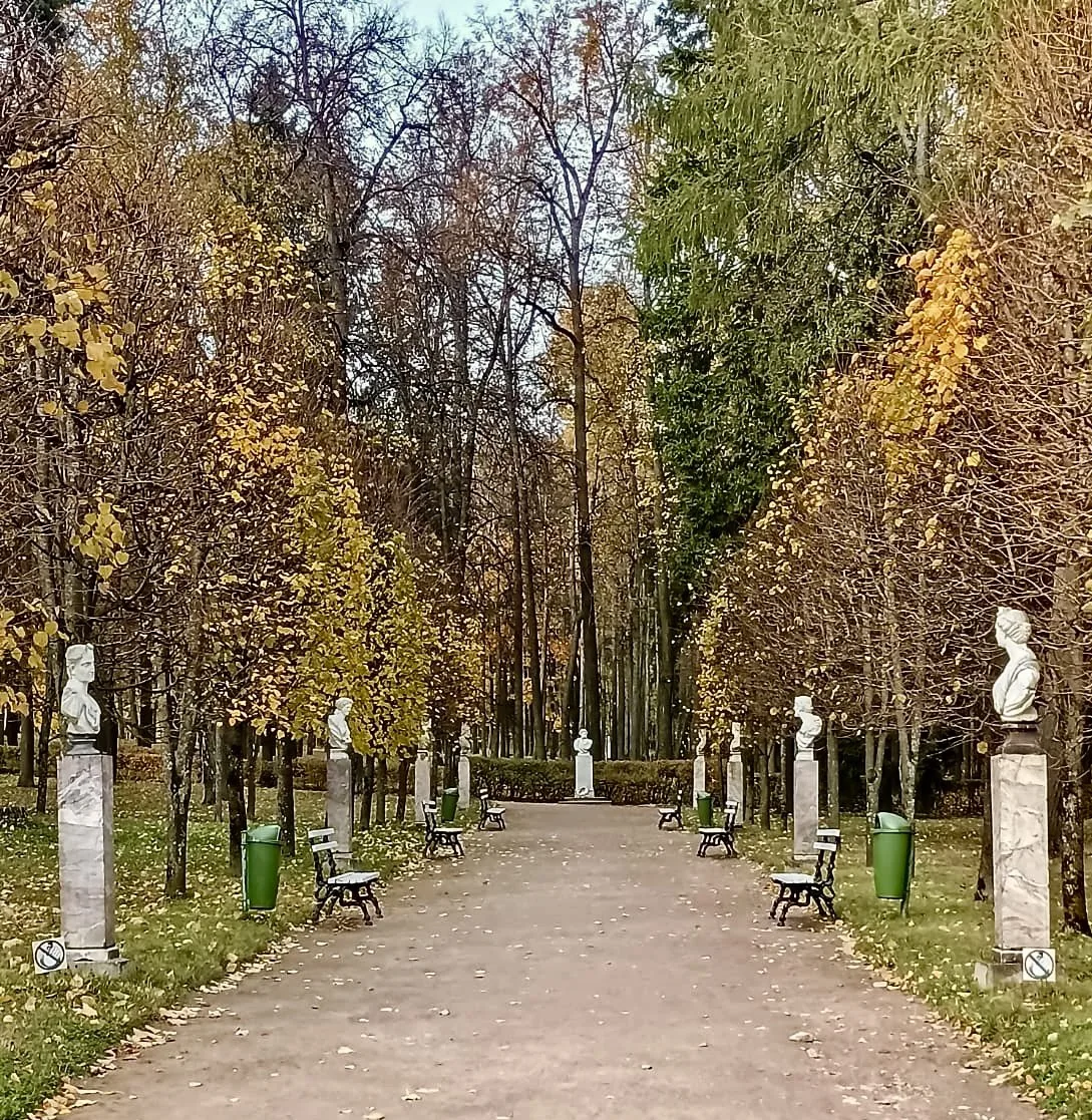 🍂 Пушкинская аллея в «Архангельском», октябрь