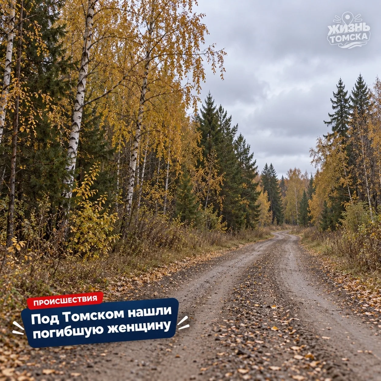 Под Томском нашли погибшую женщину: предполагают нападение медведя