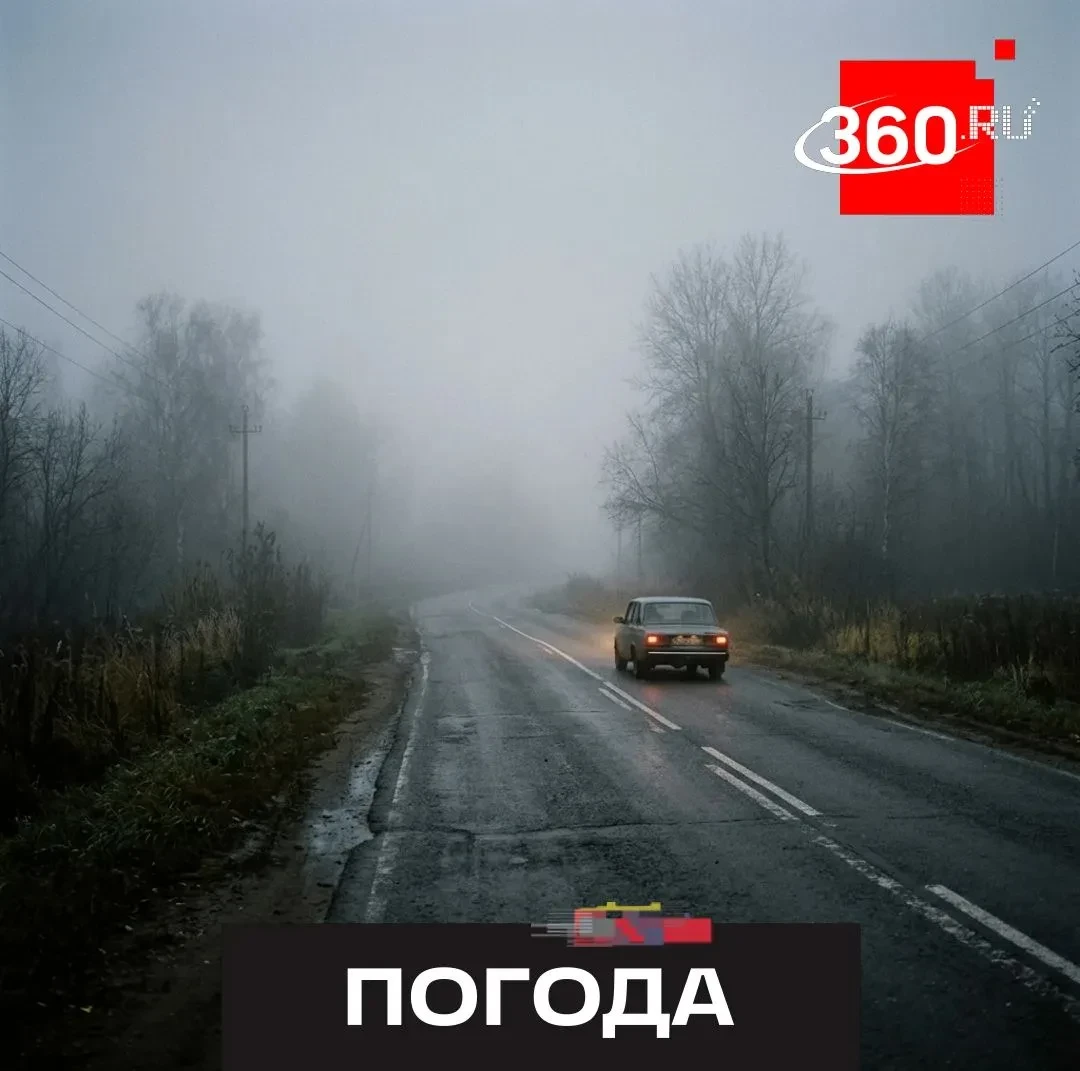 Густой туман накроет наш регион в этом часу.