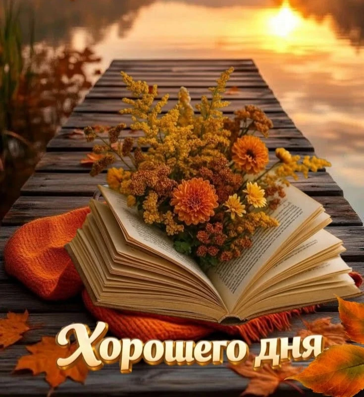 🧡🧡🧡