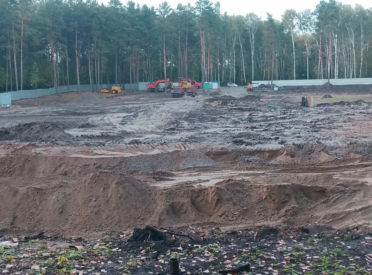 Мэр Новосибирска получил прокурорское предписание за застройку «Соснового бора»