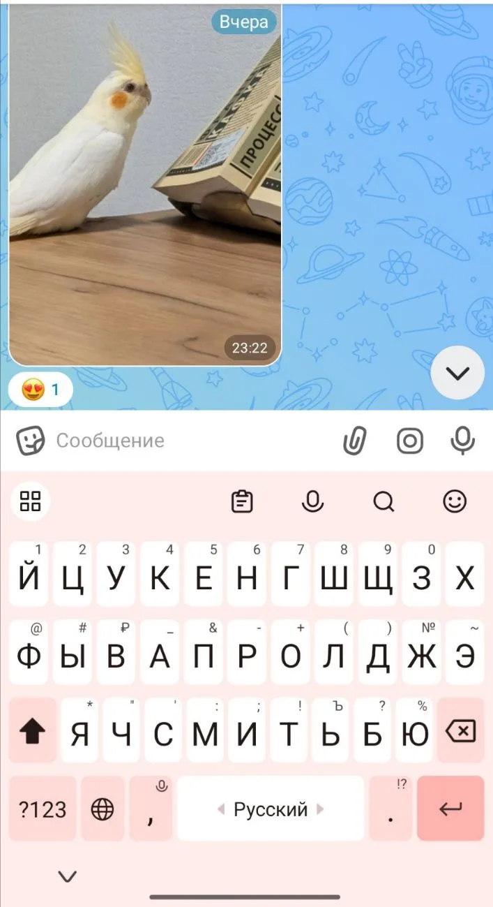 В первый день, Малыш уже осваивается в новом доме 🤩