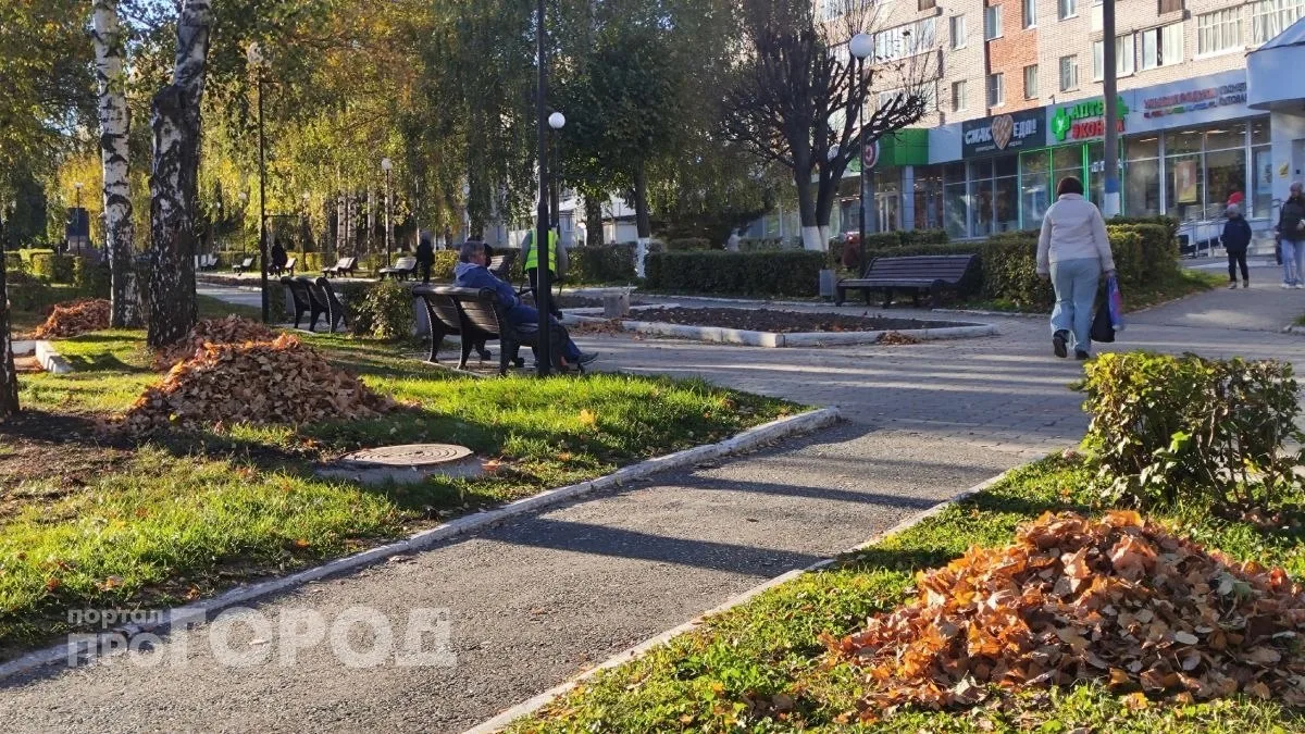 В Новочебоксарске суббота пройдет под знаком аномального тепла и дождей. Столбики термо...