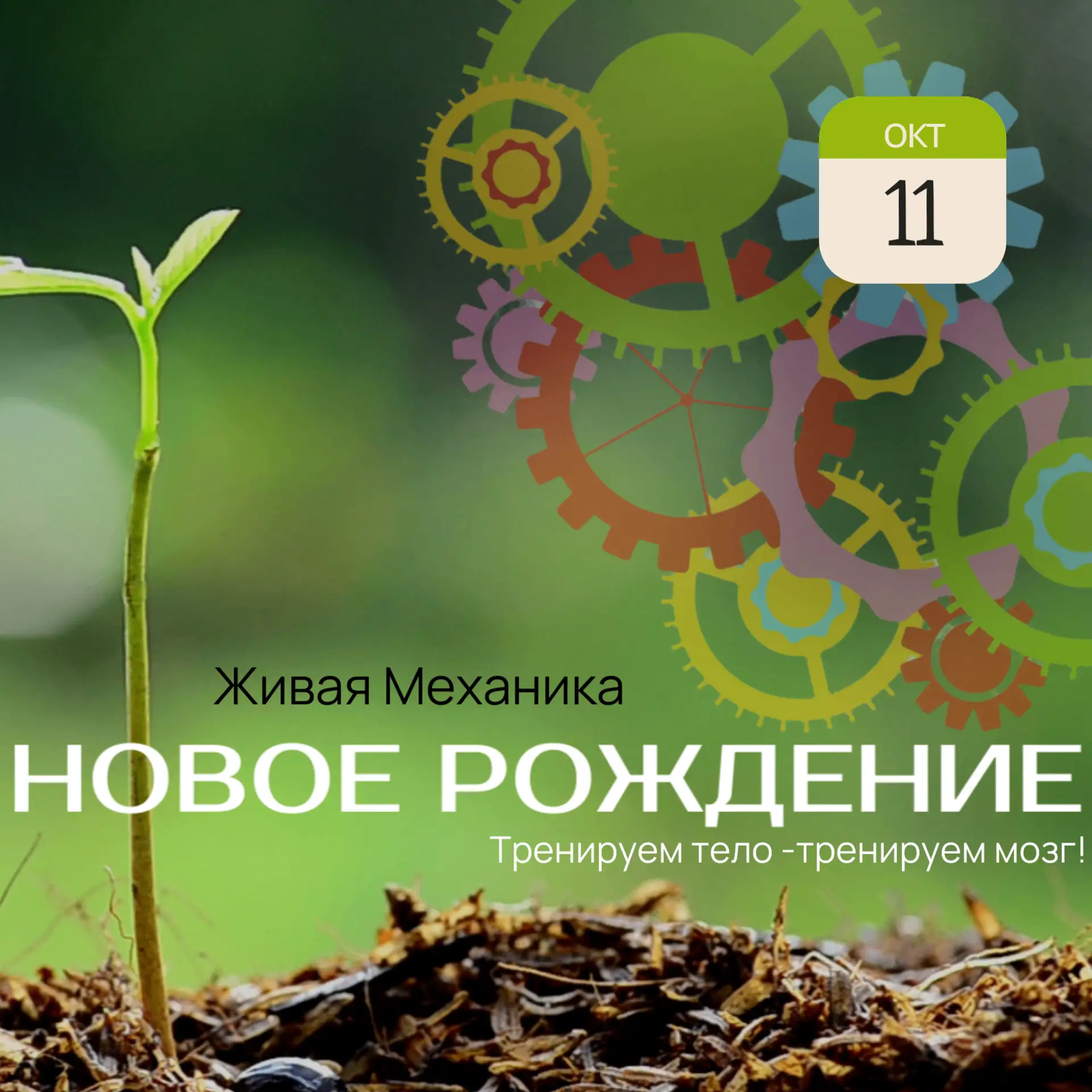 🚨Опыт против тысячи тонн словесной руды. Тренируем тело — тренируем мозг!