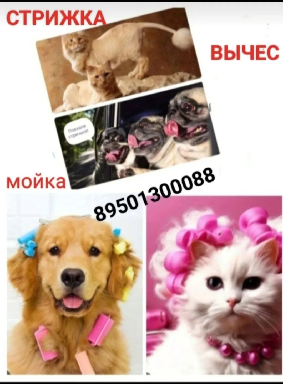 Груминг комната ХВОСТИК🐶😻🐻‍❄️🐵 (мкр. Берёзовый (р.п.Маркова) центральная дорога 🌞