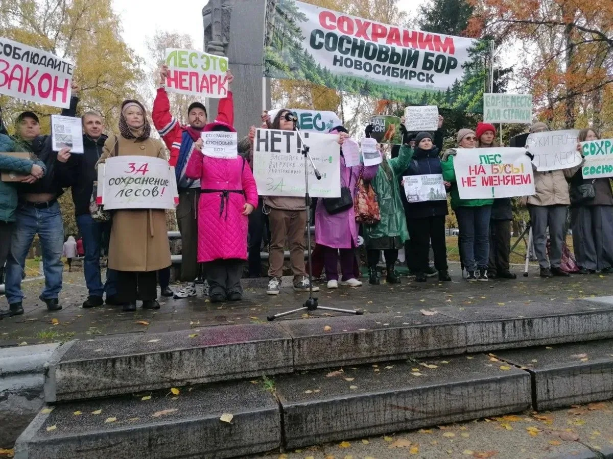 Прокуратура остановила незаконные работы в Сосновом бору и внесла представление мэру