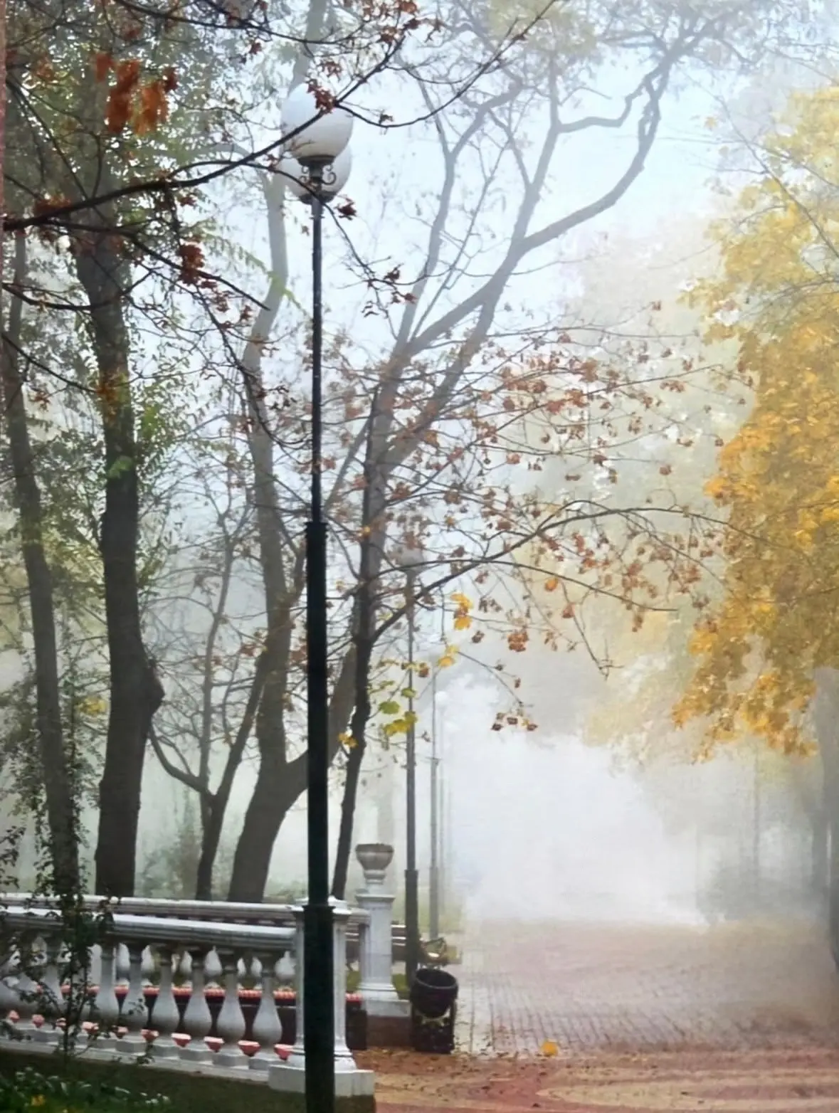 ‍🌦️ На новой рабочей неделе в Ростове будет дождь и +25 градусов