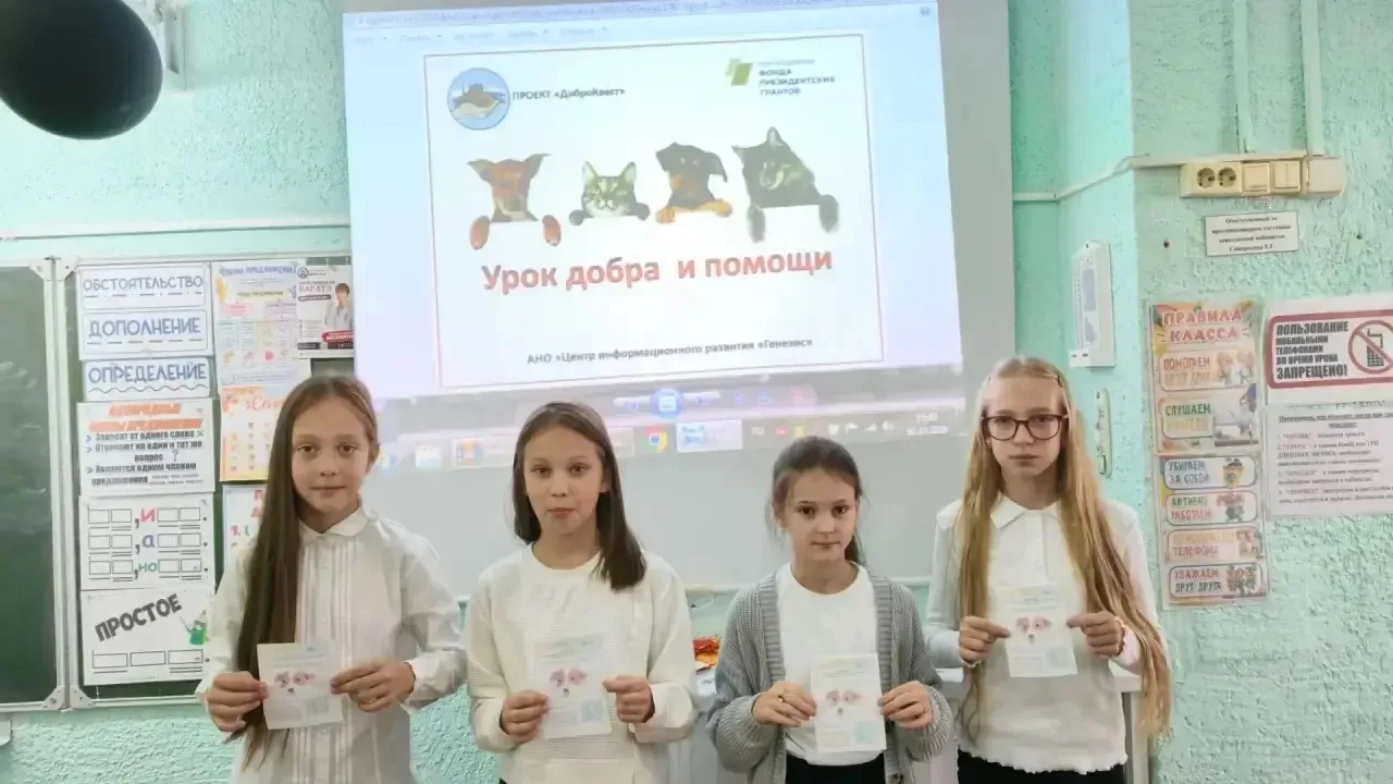 🐾 Мы в ответе за тех, кого приручили