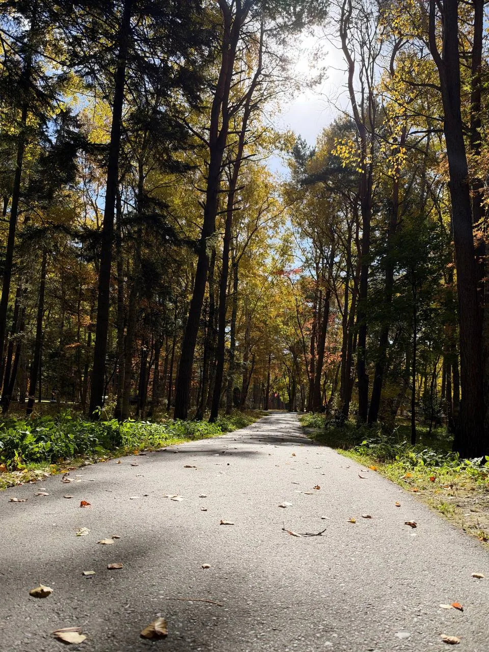 🍂 Суббота — прекрасный повод гулять по парку и любоваться красотой осени.
