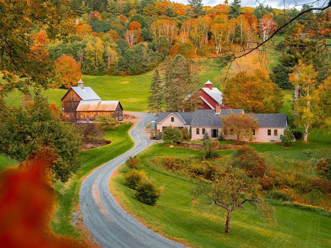 🌿 Доброе утро