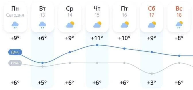 ☀️ Синоптики обещают Петербургу солнце во второй половине недели