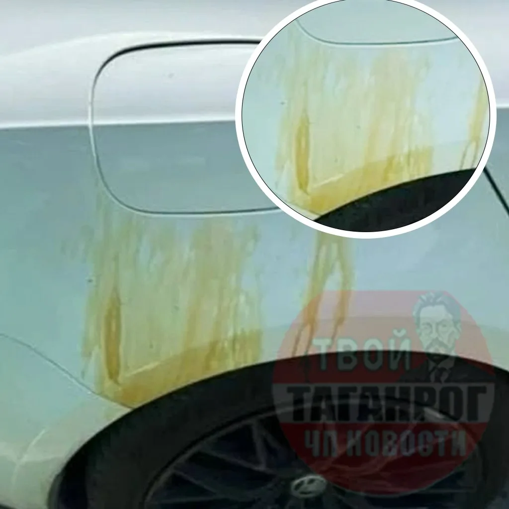 ⛽ ⁉ Народ, а это норма? У всех так сейчас? Или мне одной повезло? Что с бензином? 🤷‍♀