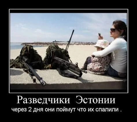 Минобороны Эстонии потратит €250 тыс. на фильмы, мультики и игры, «укрепляющие в жителя...