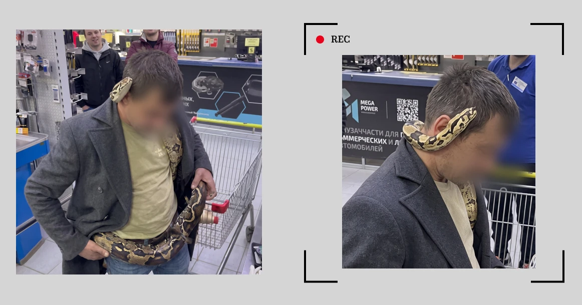 На Каширке москвич выгуливает по магазинам питона на плече