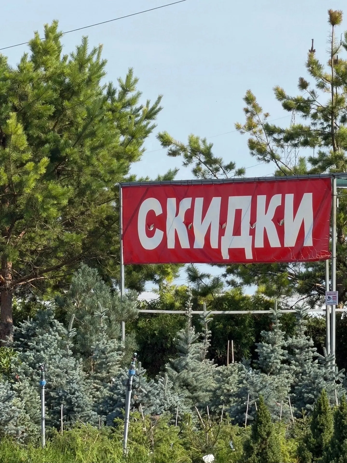 🌿 Дорогие друзья! Напоминаем, что в Питомнике и Садовом центре Веры Глуховой в пос. Ку...