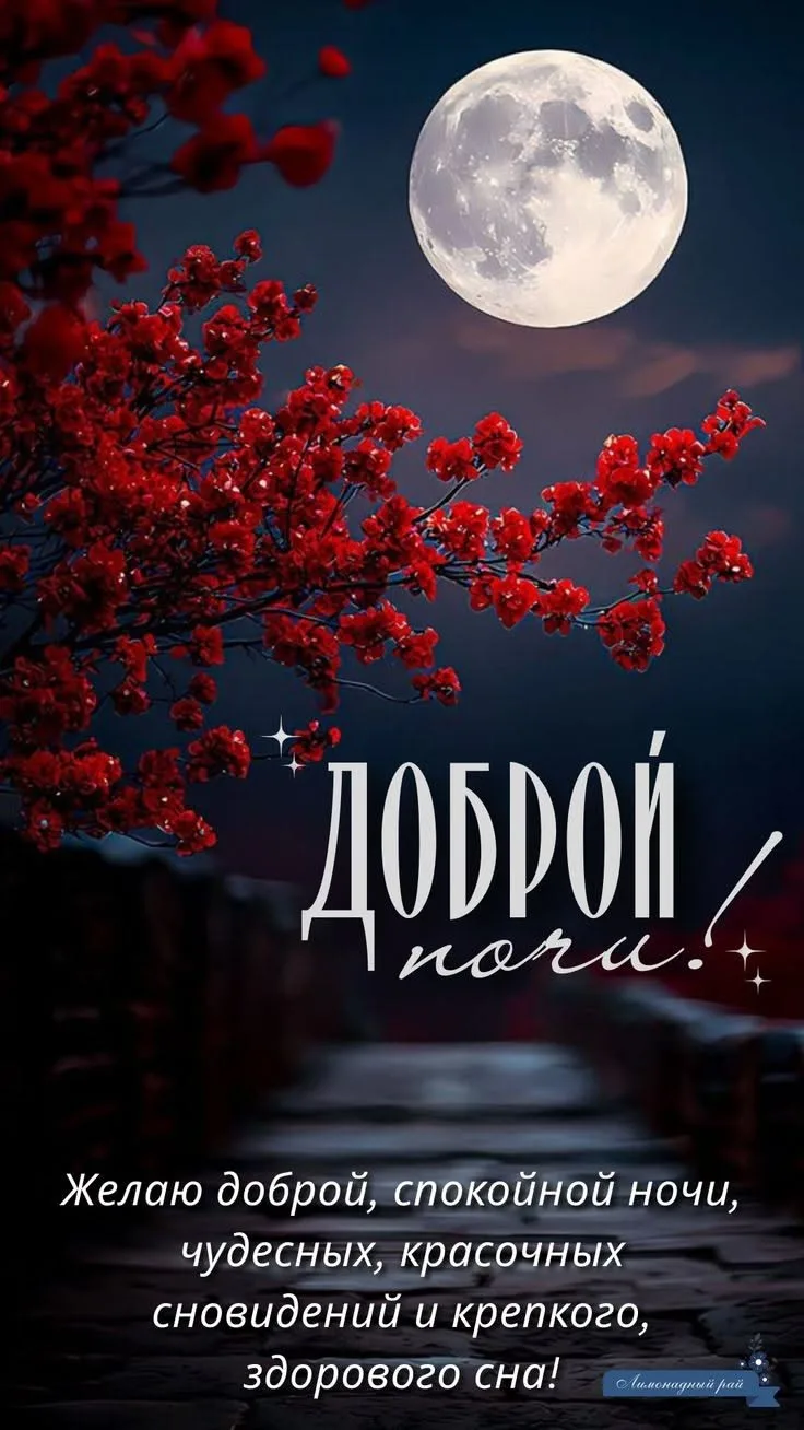 Желаю всем самого хорошего и чудесного завершения дня 🩷!