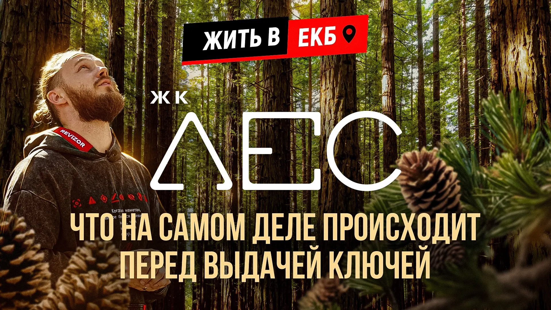 Всё! Теперь точно можно писать книгу 📚