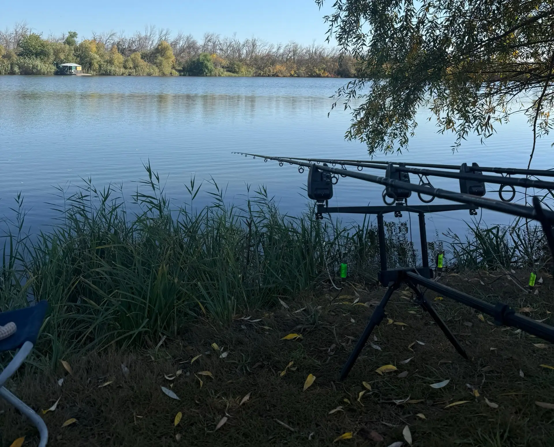 В Ростовской области вводят сезонный запрет на вылов рыбы в ноябре