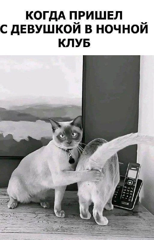 😃Картинки для настроения|👉 Подписаться