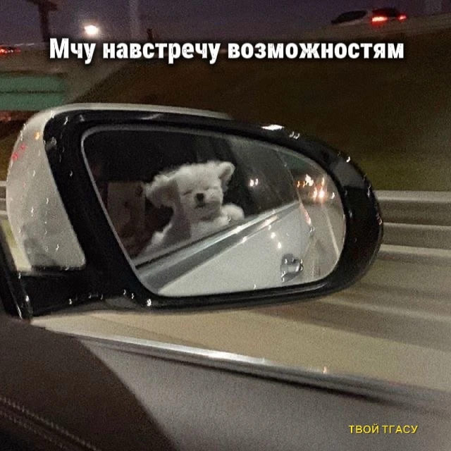 Дайджест возможностей для студентов и молодых учёных заказывали? А он готов!