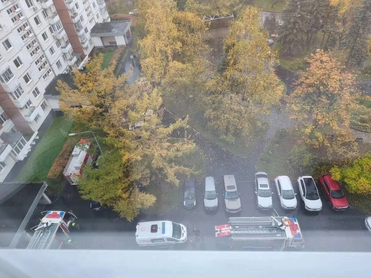 Родители бывшего главы московской церкви саентологии погибли при пожаре
