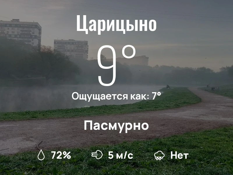 Что с погодой в Царицыно?