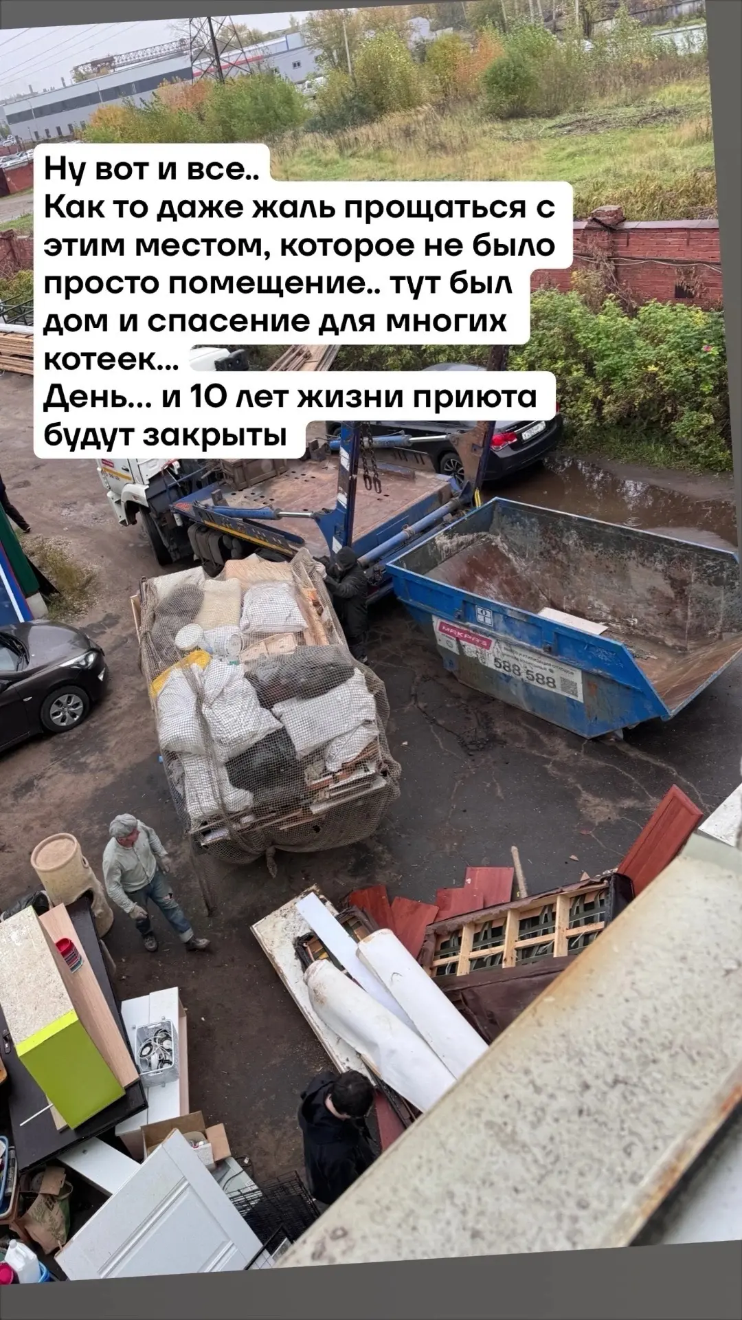 😿 Кошкин дом «Артемида» закрылся. Пушистикам нужна наша помощь