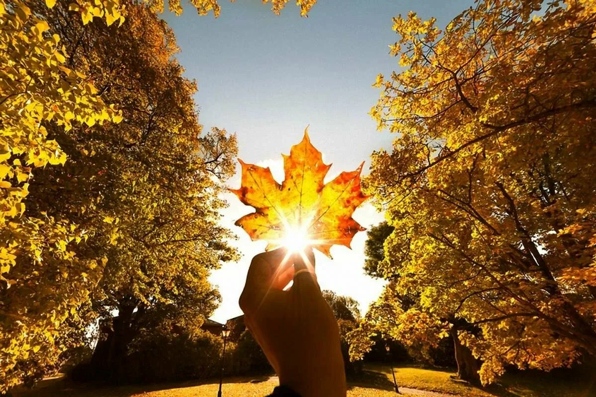 🌞 В Татарстане потеплеет до +22 градусов