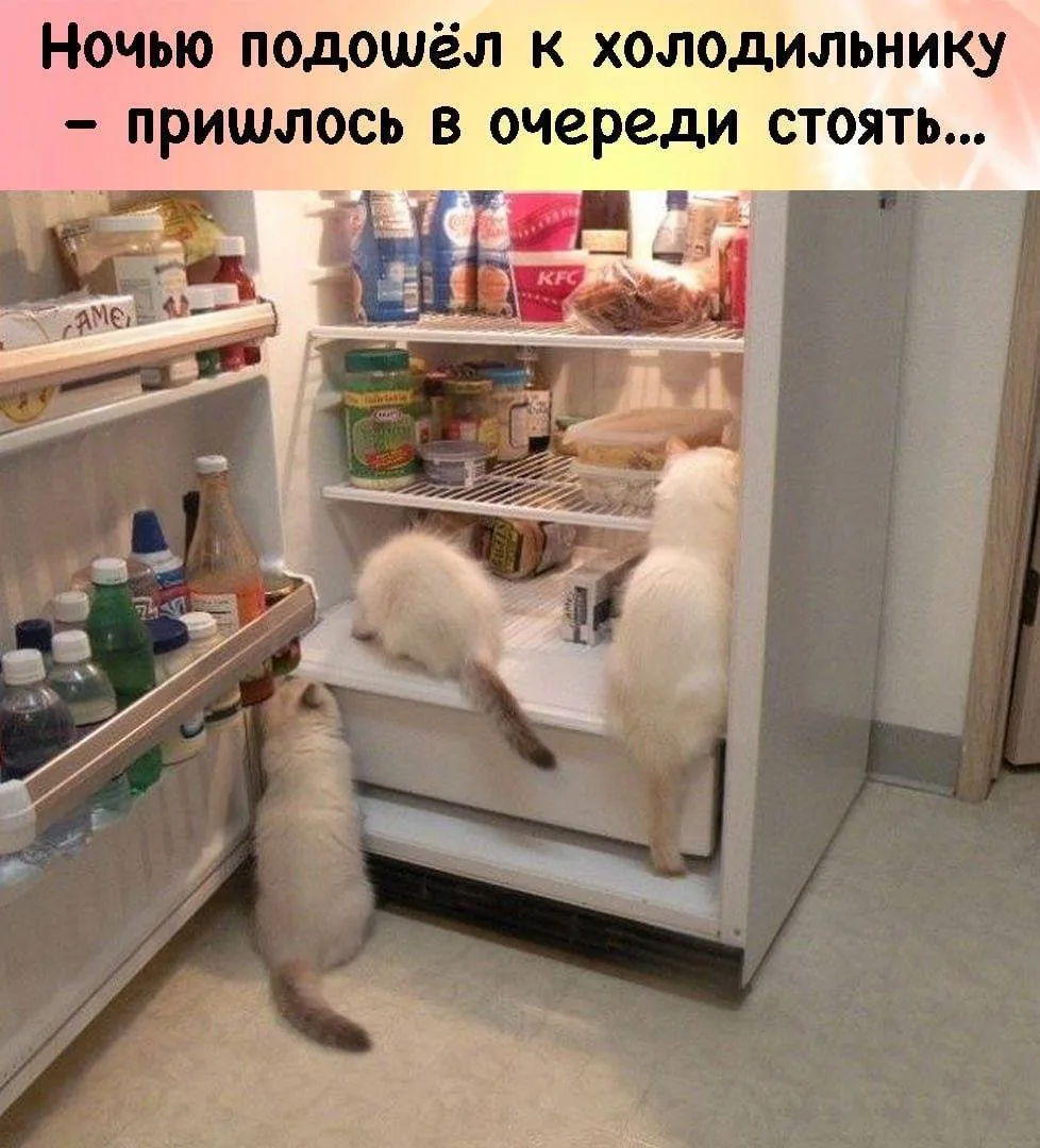 😃Картинки для настроения|👉 Подписаться