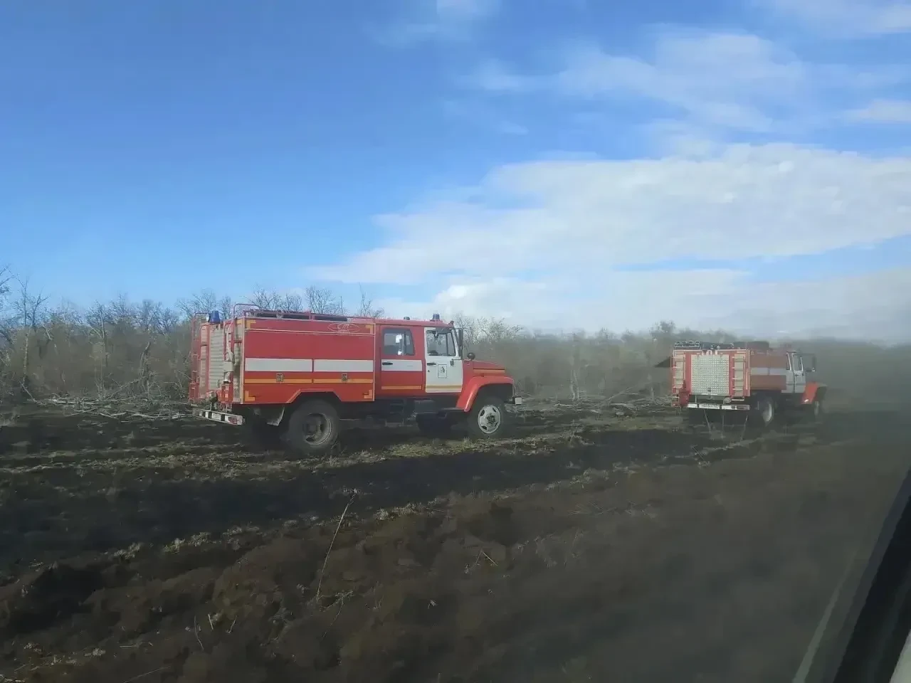🔥 В Большеглушицком районе ликвидировали лесной пожар